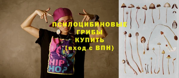 PSILOCYBIN Лихославль