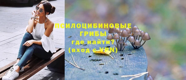 PSILOCYBIN Лихославль