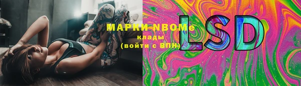 мдпв Богородицк